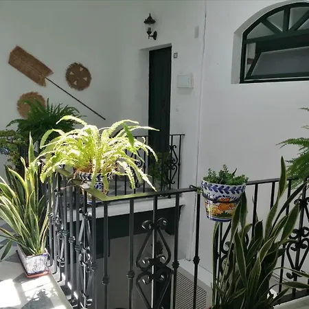 Ave Maria 8 Apartamento *